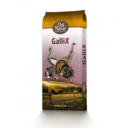 DeliNatureGallixOrnamentalStartMeel20kg