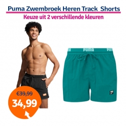 PumaZwembroekHerenTrackShortsTeal-L