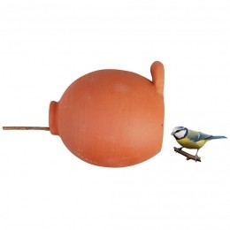 Vogelpotrondmezenenmussen-Bestforbirds