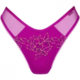 StringsLiscaLaaguitgesnedenstringJive