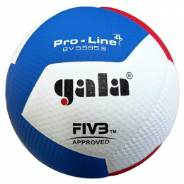 GalaVolleybalBV5595SFIVBApproved
