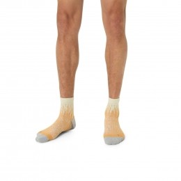 ASICSPerformanceRunQuarterSocksUnisex