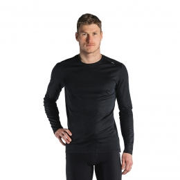 FusionTechnicalMerino150ShirtHeren