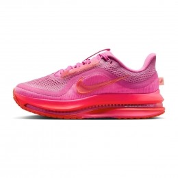 NikePegasusPremiumDames