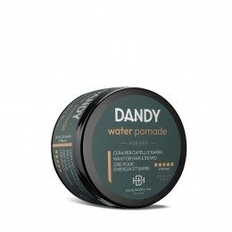 DandyWaterPomade100ml