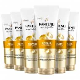 6xPanteneConditionerRepairProtect230ml