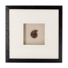 WanddecoratieGemArtForceVLoft46