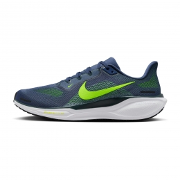 NikePegasus41Heren