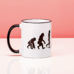 MokBikeEvolution