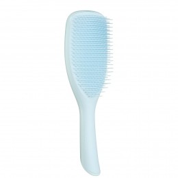 TheLargeWetDetanglerFineFragileSeafoamBlue