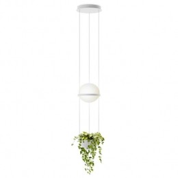 PalmaHanglamp3724LED22metplantenbakmatwit