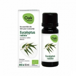 OakEssOlieEucalyptusRadiata10mlBio