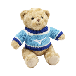 MizunoTeddyBlauwDamesHerenMaatNS