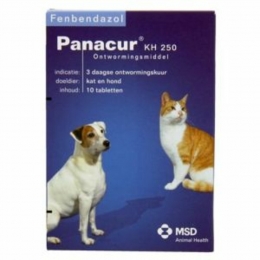 PanacurOntwormingTablettenHond-Kat250mg10tabletten