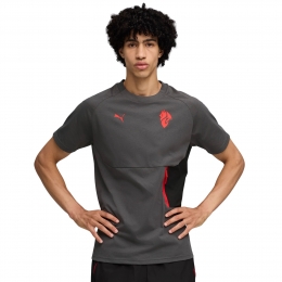 PUMAACMilanPumatechT-Shirt2025-2026GrijsRoodZwart
