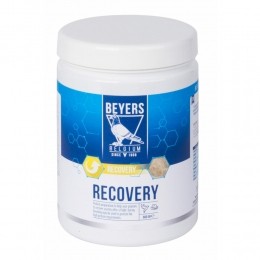 BeyersRecovery600gr
