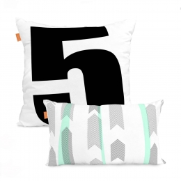 Setvan2kussenhoezenFiveBlanc