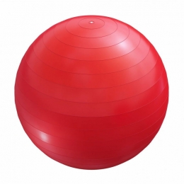 Fitnessbal55cm-inclPomp-Gymbal-Yoga-Belastbaartot500kg-Rood-GorillaSports