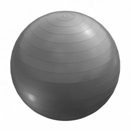 Fitnessbal55cm-inclPomp-Gymbal-Yoga-Belastbaartot500kg-Grijs-GorillaSports
