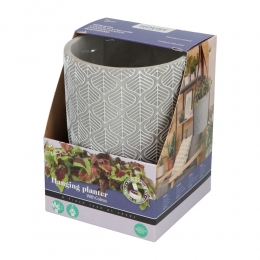 BuzzyHousePlantsHangendePlantpotmetColeuszaden