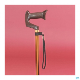 LusjeVoorWandelstokAdvys