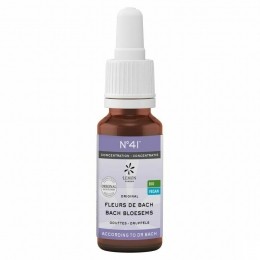 BachbloesemBioN41DruppelsConcentratie20ml