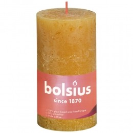 BolsiusStompkaarsGeel13cm
