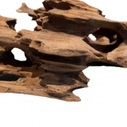 HoneycombwoodsmallAquadistri-Aquadistri