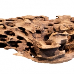 HoneycombwoodxlargeAquadistri-Aquadistri