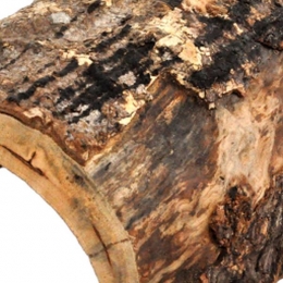 HabistatAquadistrijungleschuilplaatsextragrootHabistatAquadistri-Aquadistri