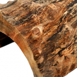 HabistatAquadistriboomstronkschuilplaatsextragrootHabistatAquadistri-Aquadistri