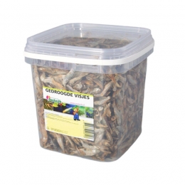 Gedroogdevisjes25litervoerSurenCollection-Surencollection