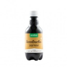 PurasanaKombuchaDrankGemberBio330ml