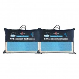 2xLucovitaalKoelkussenOrthopedisch