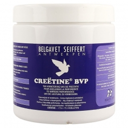CreetineComplexBvpPot200g