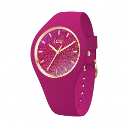 ICEWatchDameshorlogeice022575