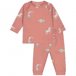 Prnatalbabypyjamafairytale