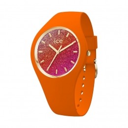 ICEWatchDameshorlogeice022574