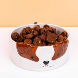 Hondenvoerbakmethondengezicht