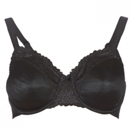 VoorgevormdebhTriumphLADYFORMSOFT