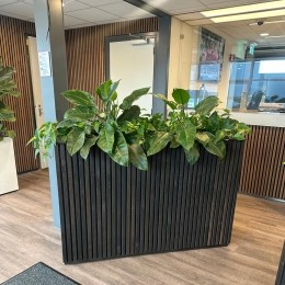 BloembakJilles