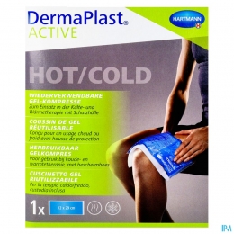 DpActiveHotcoldPackLarge1Ps