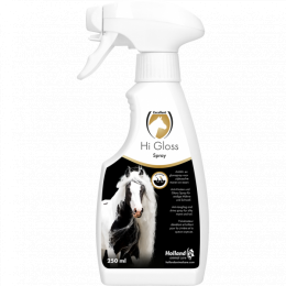 HiGlossSpray250Ml