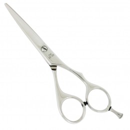 ConvexMasterknipschaar50inch