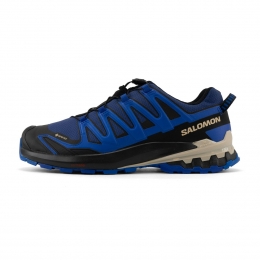 SalomonXAPro3Dv9GTXHeren