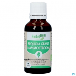 HerbalgemMammoetboomBio30ml