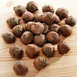 alsa-natureRunder-balletjes250g