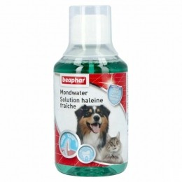 BeapharMondwater250ml