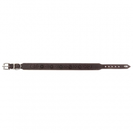 HUNTERHondenhalsbandVirginiaRosebruinMaat65