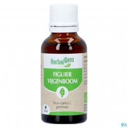 HerbalgemVijgenboomBio30ml